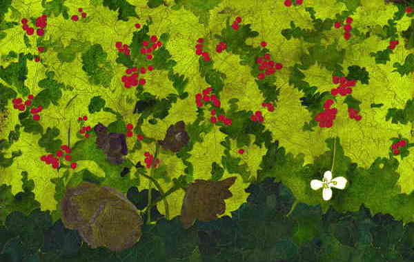 Illustration zu 'The holly and the ivy' von Frank Walka
