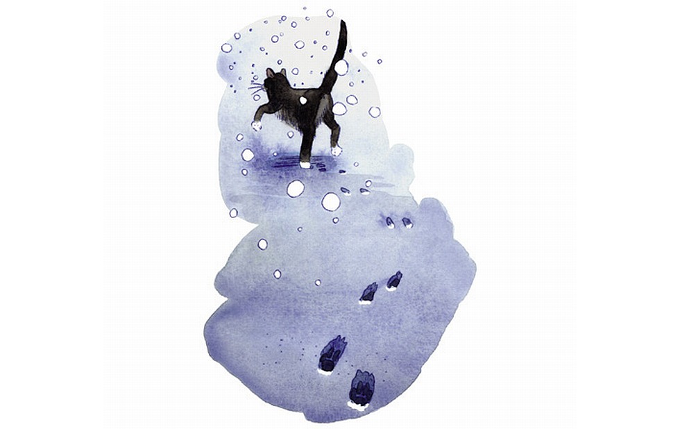 Illustration zu »A B C, die Katze lief im Schnee« von Markus Lefrançois