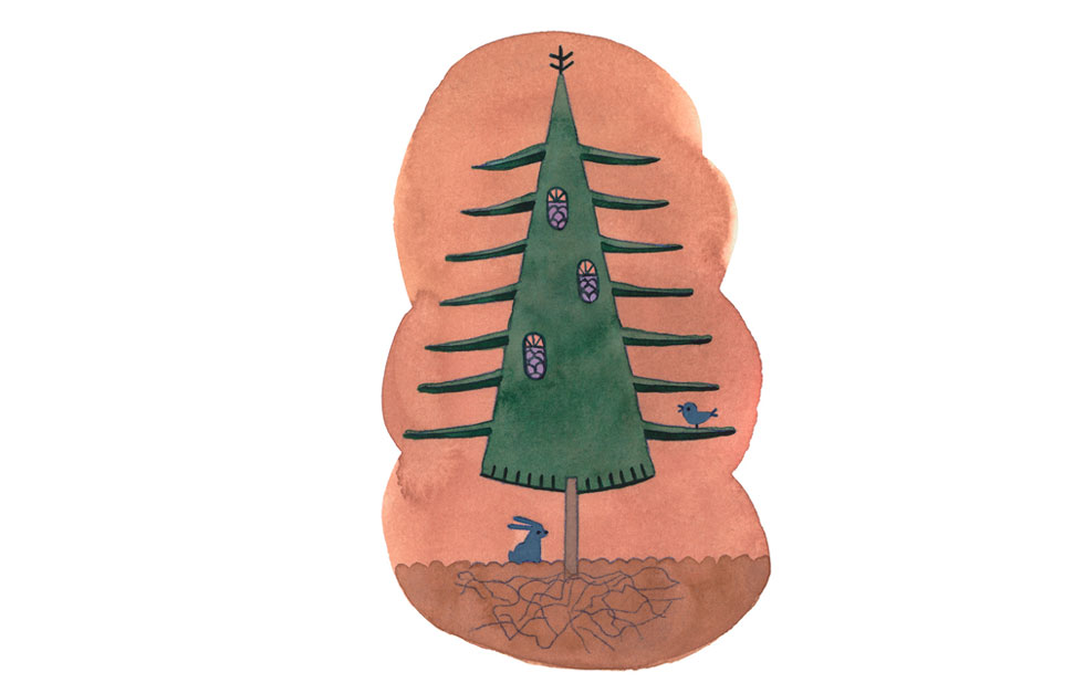 Illustration zu »O Tannenbaum, du trägst ein’n grünen Zweig« von Markus Lefrancois
